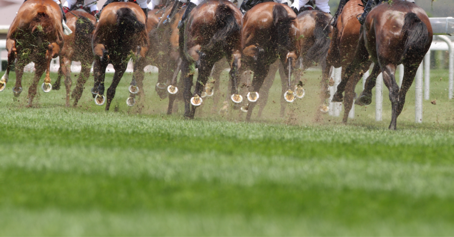 Pferderennen - Foto: iStock.com/winhorse Pferderennen - Foto: iStock.com/winhorse