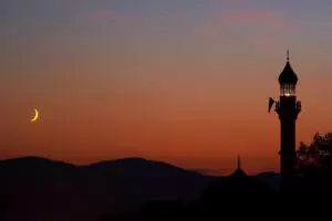 Foto: iStock/ damircudic