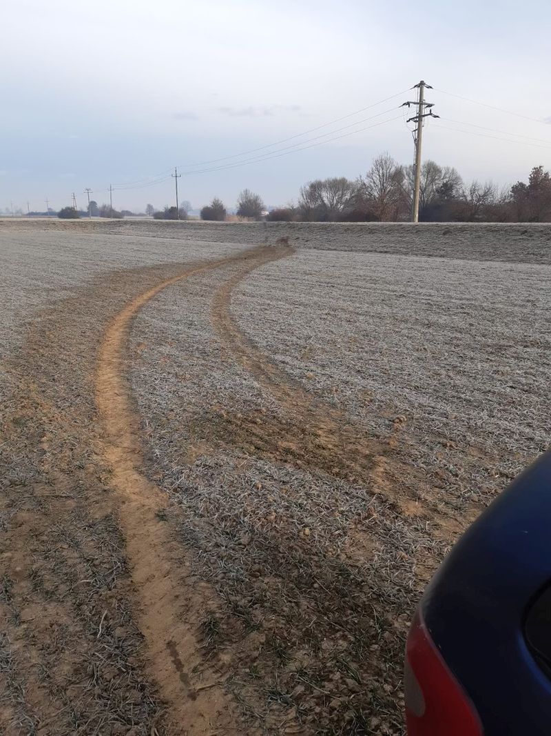 Auf einem Feld konnte der Wagen schließlich gestoppt werden. Foto: Bundesheer