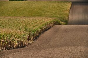 Der tägliche Bodenverbrauch geht zurück, für die Ernährung werden landwirtschaftliche Vorrangzonen geschaffen. Foto (Hohenruppersdorf): BMLRT / Alexander Haiden