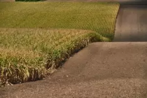 Der tägliche Bodenverbrauch geht zurück, für die Ernährung werden landwirtschaftliche Vorrangzonen geschaffen. Foto (Hohenruppersdorf): BMLRT / Alexander Haiden