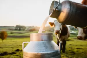 Die steigenden Energiepreise bringen auch die produzierende Landwirtschaft in Nöte. Ein Paket im Umfang von 120 Millionen Euro soll Druck aus den hohen Kosten nehmen. Foto: istock / SimonSkafar
