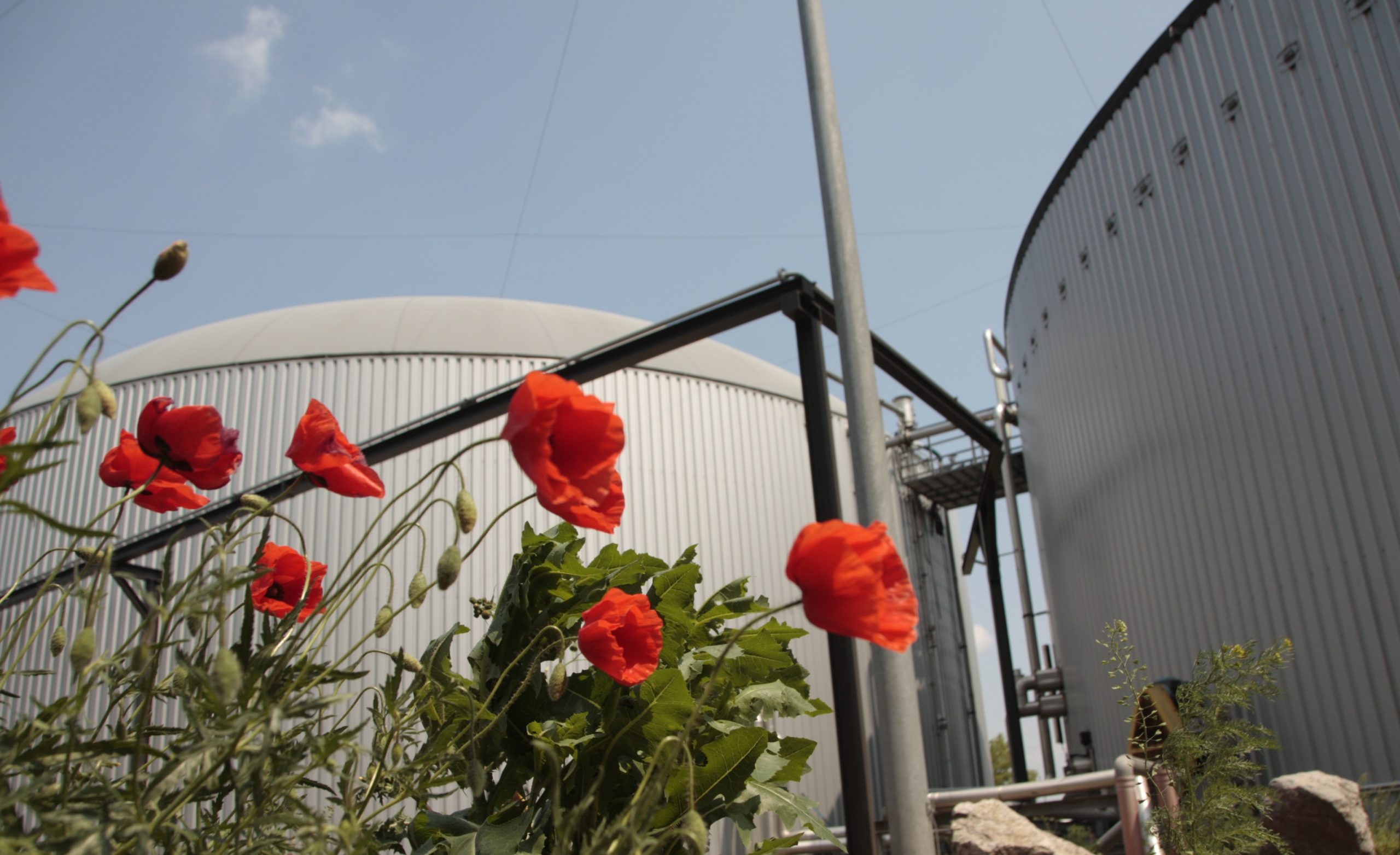 Biogas Grünes Gas für saubere Energie - das funktioniert. Ein neues Gesetz soll Haushalten und Unternehmen Sicherheit geben, damit den Ausbau beschleunigen. Foto: Energiepark/Biogasanlage Bruck/Leitha