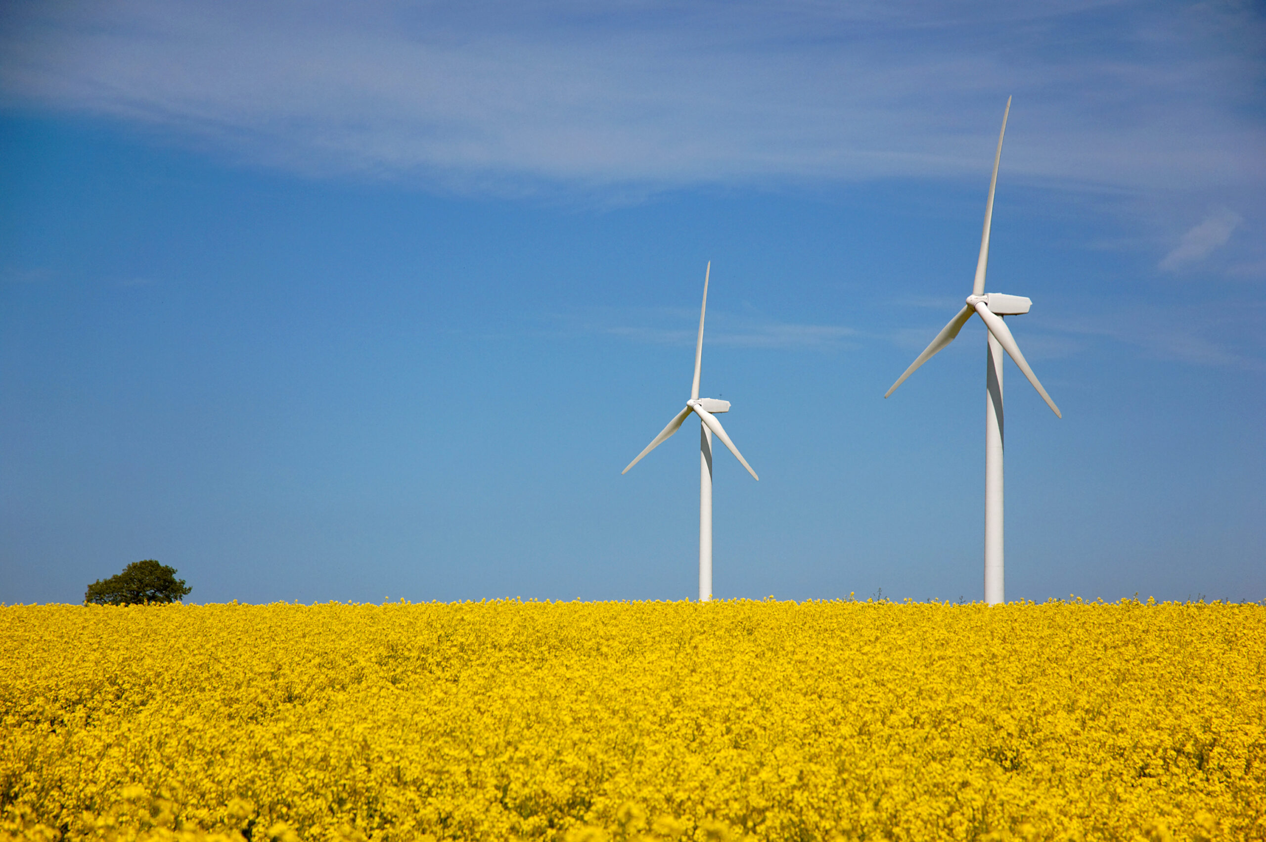 Österreich begibt Grüne Bundeswertpapiere, deren Erlöse in Investitionen etwa für erneuerbare Energien fließt. Der Grüne Kapitalmarkt floriert, Österreich erhält Nachhaltigkeitspreise. Foto: pixelio/Petra Bork