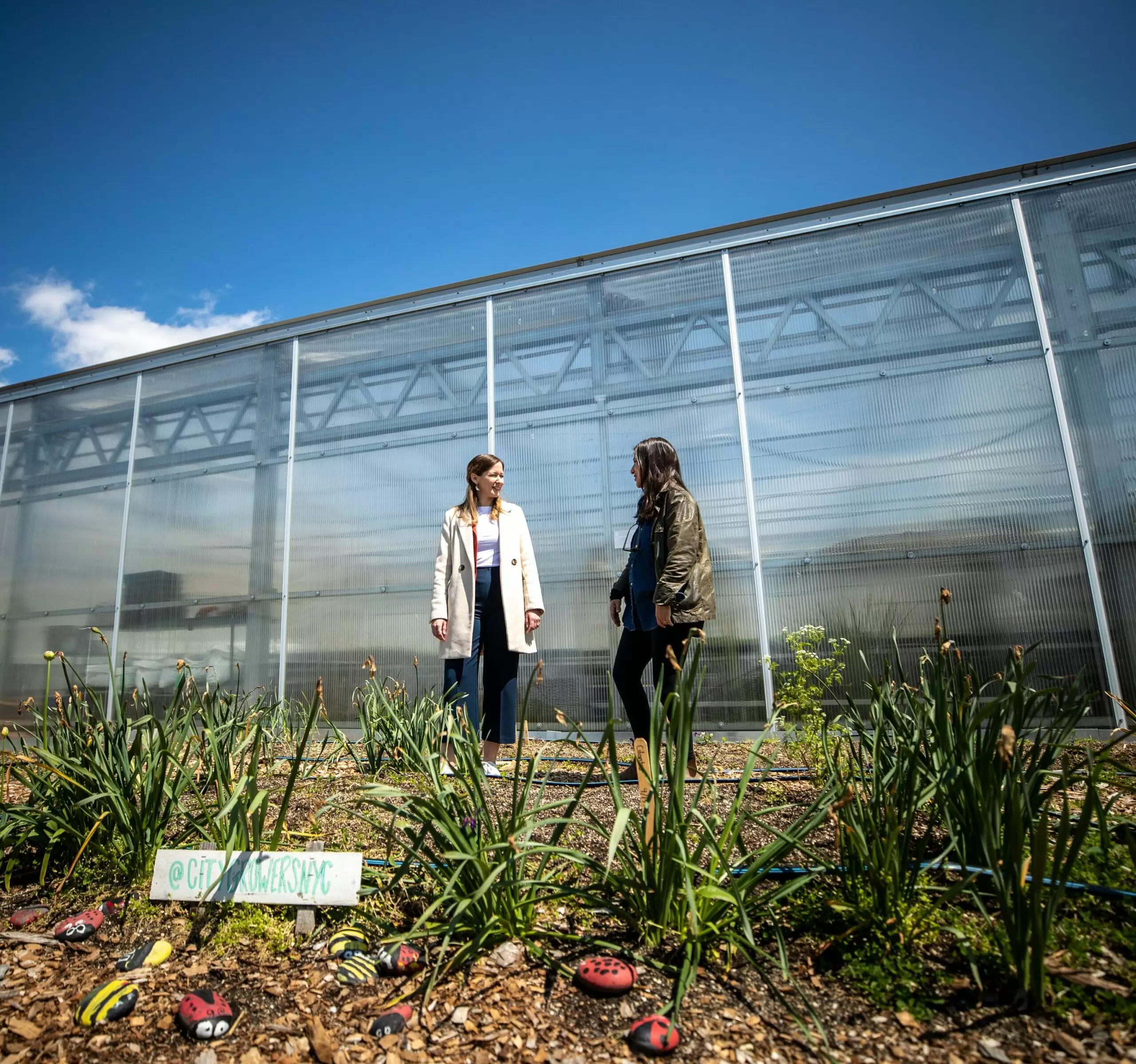Im Bild bei dem Besuch der Brooklyn Grange Rooftop Farm im Sunset Park. Foto: BKA