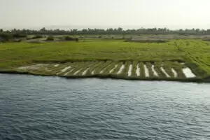 Der Nil ist für Ägypten eine wichtige Lebensader. Dennoch wird nur ein Bruchteil der ägyptischen Landesfläche landwirtschaftlich genutzt. Österreich will im Bereich der Wasserversorgung mit Ägypten enger Zusammenarbeiten. Foto: istock / LUke1138