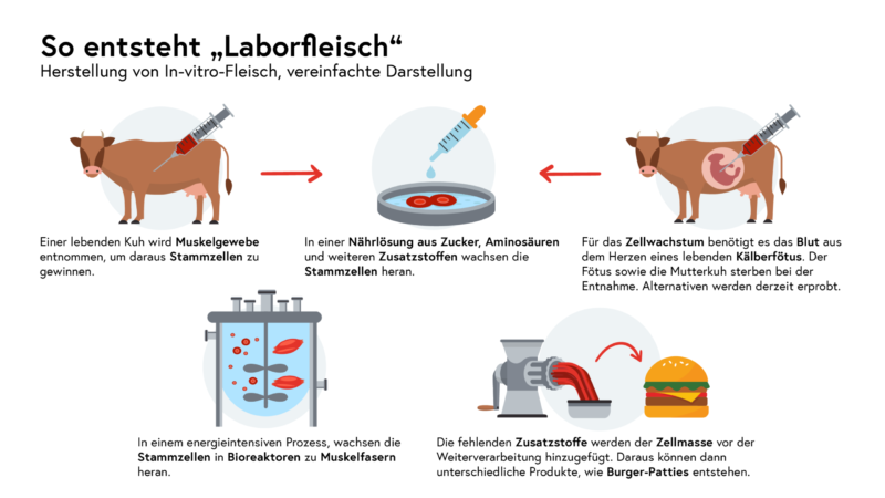 Was ist eigentlich "Laborfleisch"? Einfach erklärt. Grafik: BML