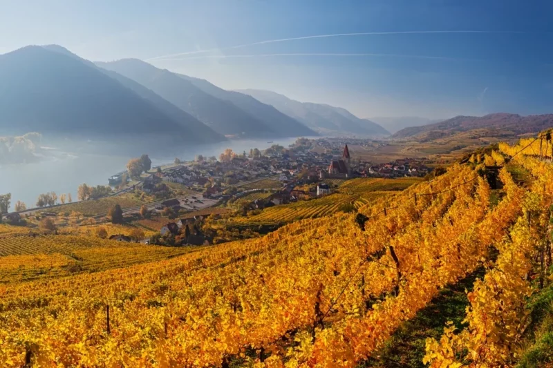 Der Tourismus ist in den besten Herbst gestartet: Besondere Angebote etwa zum Thema Wein ziehen Gäste an, die vor allem wegen der gepflegten Landschaft in Österreich einen Urlaub machen. Foto: istock/rusm