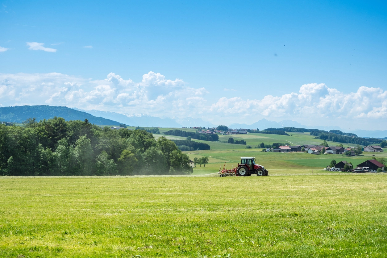 Österreich erreicht 2024 einen neuen Höchstwert bei Biodiversitäts- und Naturschutzflächen in der Landwirtschaft. Foto: istock/Animaflora