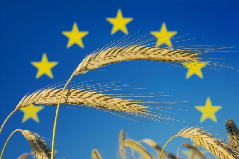 Eine Absicherung der Finanzierung der Landwirtschaft sowie faire Wettbewerbsstandard fordert die ÖVP in ihrem Programm zur EU-Wahl. Foto: istock/DesignRage