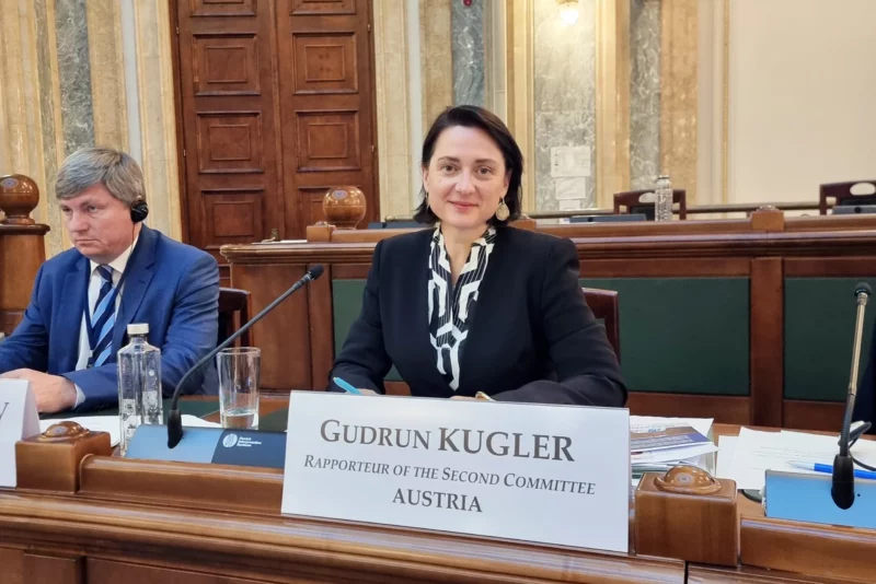 Setzt sich auch auf internationaler Ebene ein. ÖVP-Abgeordnete Gudrun Kugler bei der OSZE-Jahrestagung in Bukarest. Parlamentsdirektion/Tabitha Rauscher