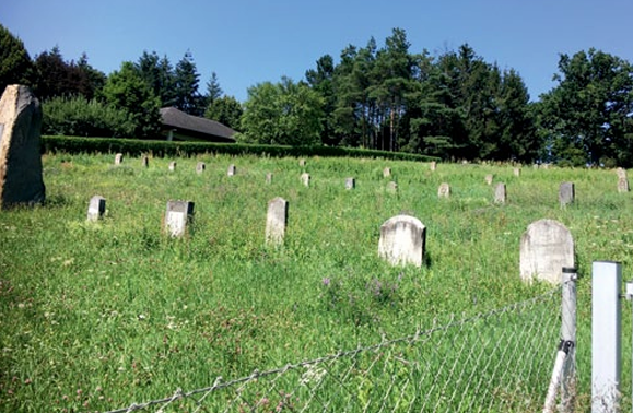 Der Fonds zur Instandsetzung der jüdischen Friedhöfe in Österreich ist Teil des Nationalfonds der Republik zur Entschädigung der NS-Opfer, der wieder arbeitsfähig ist. Bild: Jüdischer Friedhof Güssing, entnommen der Info-Broschüre des Fonds.