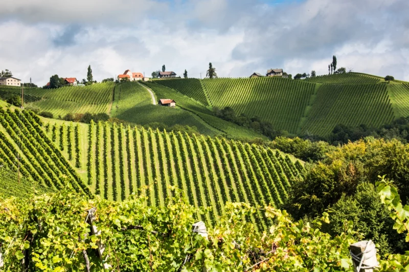 In der Steiermark wurde am Sonntag gewählt. Die ÖVP bleibt weiterhin die bestimmende Kraft in den Gemeinden. Foto: istock/Sepp Friedlhuber