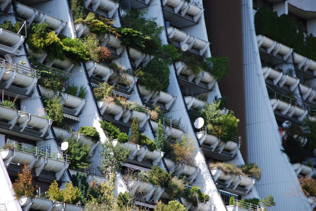 Klimafreundliches Bauen ist ein Erfolgsmodell, erklären Wirtschaftsminister Wolfgang Hattmannsdorfer und Staatssekretärin Elisabeth Zehetner (im Bild: Begründung der Fassade in Alt Erlaa/Wien). Foto: Grünstattgrau-Wein-Tessbach