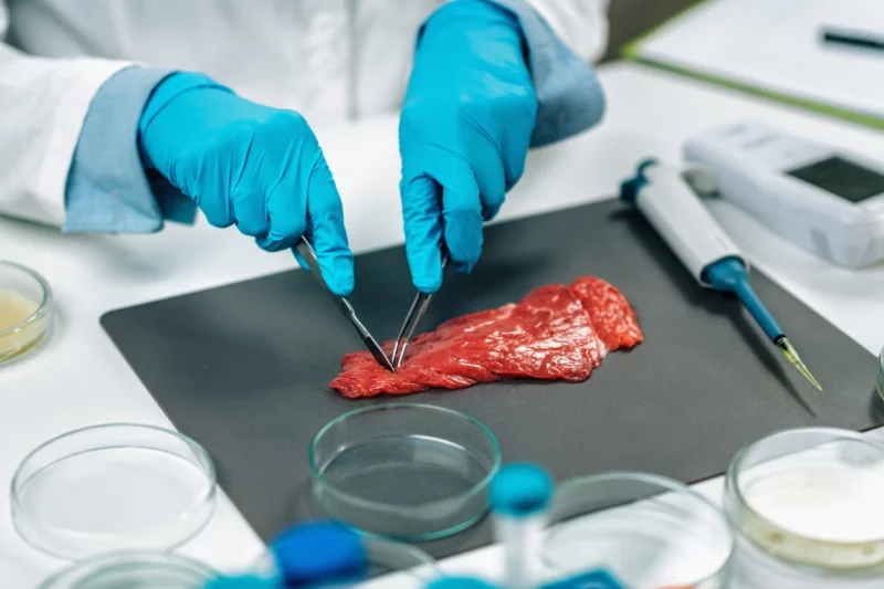 Landwirtschaftskammern aus Österreich machen mobil gegen Laborfleisch. Eine Petition mit über 70.000 Unterschriften wurden nun dem EU-Parlament behandelt. Foto: istock/microgen