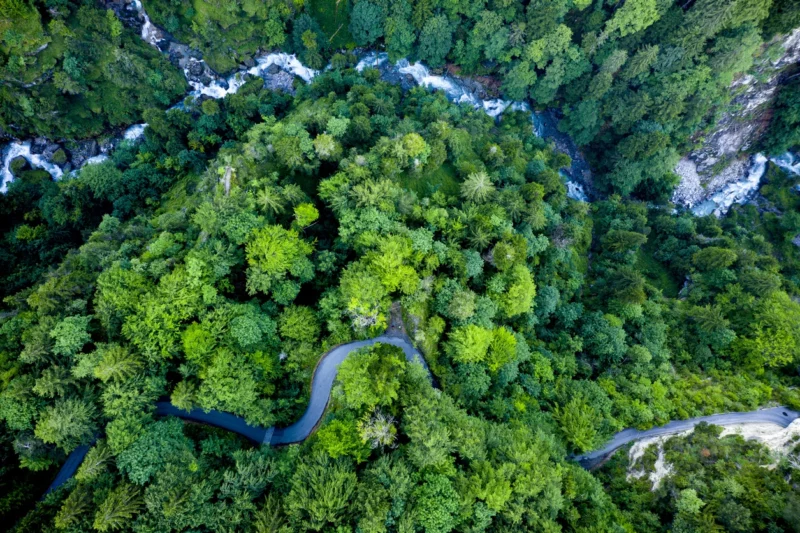Mit 248 Millionen Euro an Umwelt- und Klimaschutzinvestitionen soll die Energieeffizienz gesteigert und der CO2-Ausstoß reduziert werden. Foto: iStock/Kemter