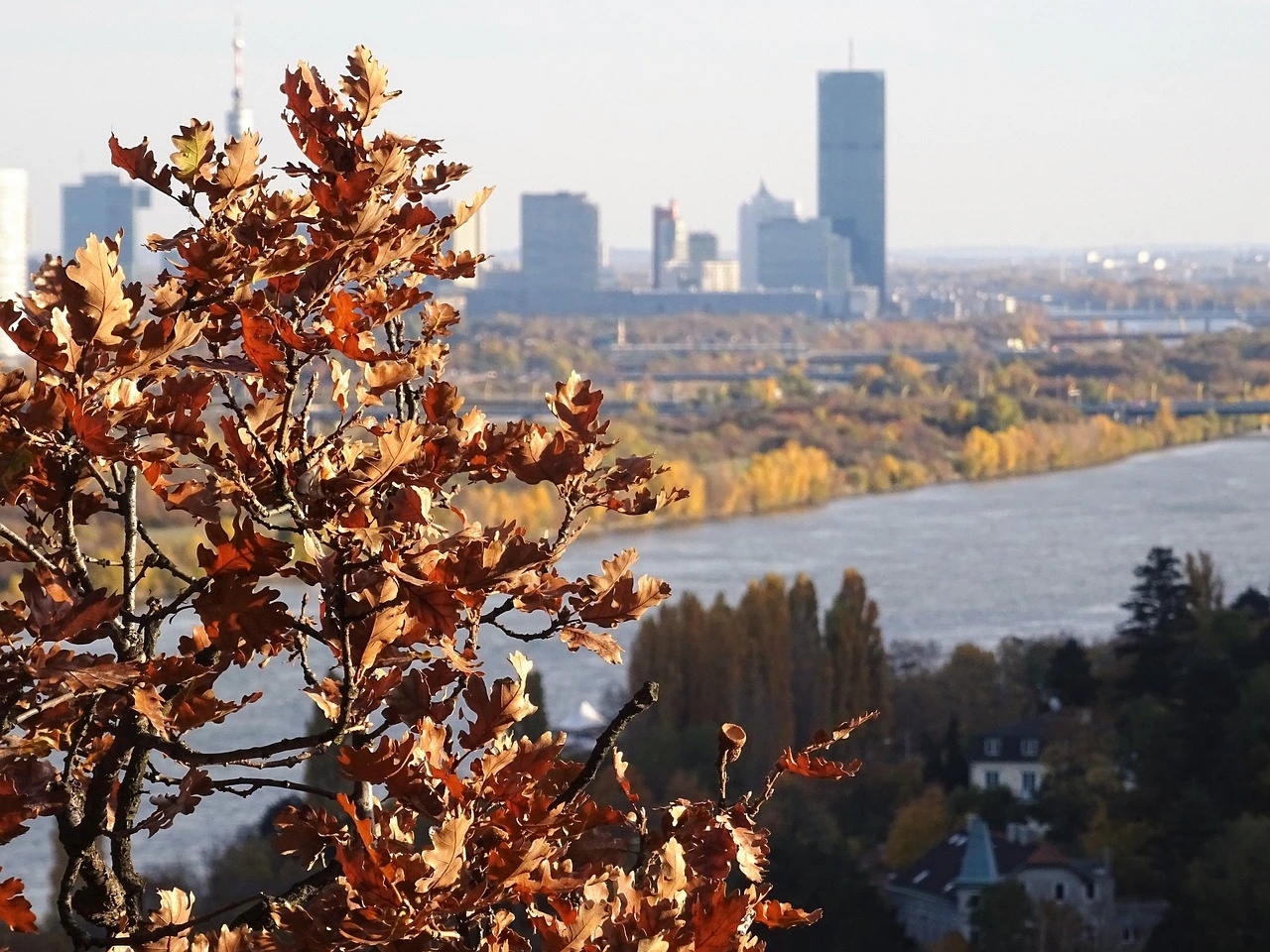 Wien zieht Asylwerber an, doch die Integration gelingt schlechter als in anderen Bundesländern. Foto: pixelio / Heinz Duschanek