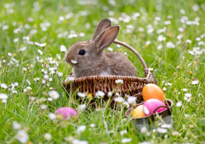 Frohe Ostern! Foto: iStock/diephosi