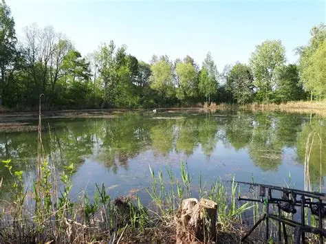 Der Tierschutzrat befasst sich auch mit Fischen und Fischgewässern. Wie dies erfolgt, wird jetzt parlamentarisch angefragt. Foto (Teich in Deutschland): alleangeln.de