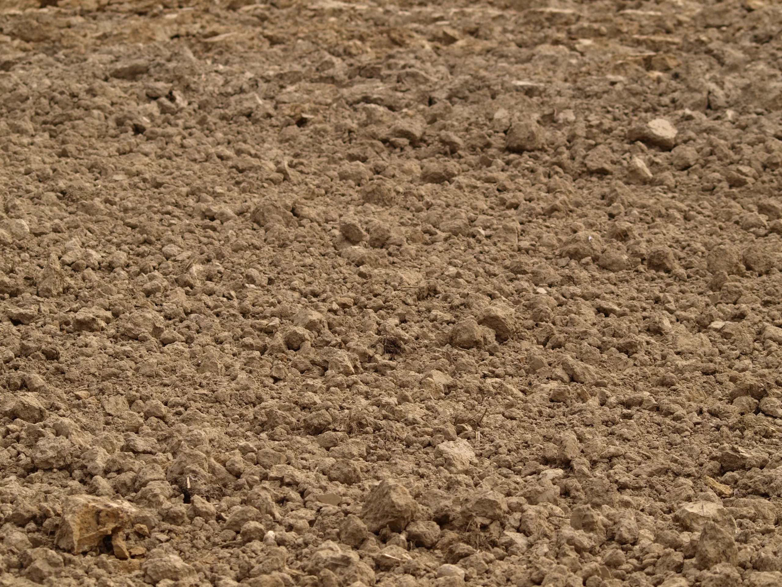 Die Bauern sollen für die Schäden wegen Hitze und Trockenheit Hilfen erhalten, kündigte Bundeskanzler Christian Stocker an. Die konkrete Lösung werde vom Landwirtschafts- und vom Finanzminister präsentiert. Foto: Pixabay / Alexa