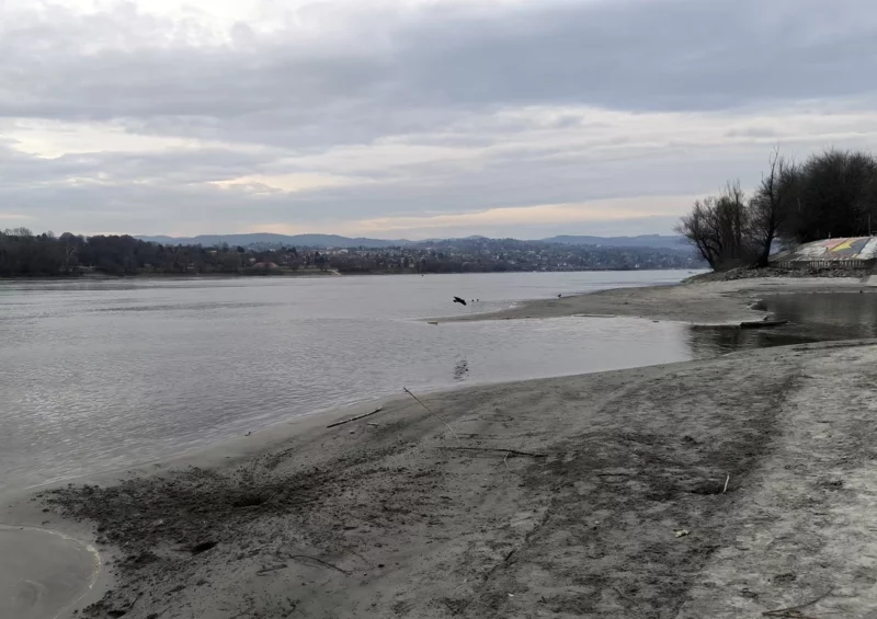 Die aktuelle Trockenheit wirkt sich auch auf die Pegelstände großer Flüsse wie auf der Donau aus. Foto: iStock/JanaMilin