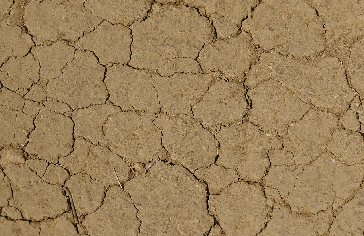 Nach dem Hitzesommer blieb auch der September äußerst trocken, wie aus dem aktuellen Monatsbericht "Wasserhaushalt Österreich" hervorgeht. Foto: iStock/Leonsbox