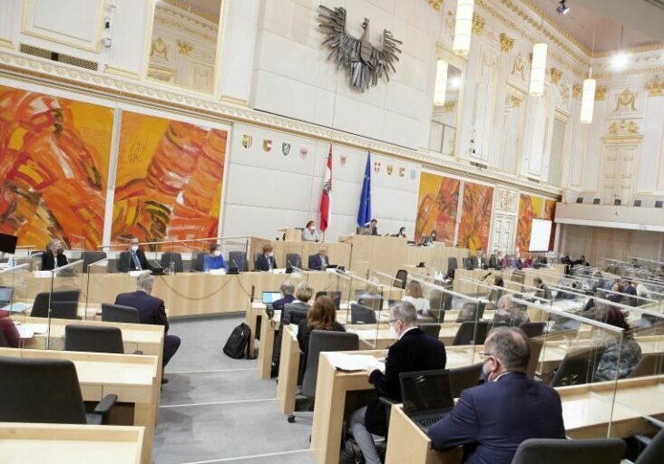 Rechtsstaat und Demokratie garantiert: Anhörung von Fachleuten vor dem Gesundheitsausschuss. Foto: Parlament / Thomas Topf