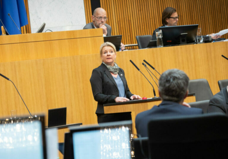 Abg. Irene Neumann-Hartberger (ÖVP): Überdurchschnittliche lange Wochenarbeitszeit erhöht Belastung. Foto: Ulrike Wieser