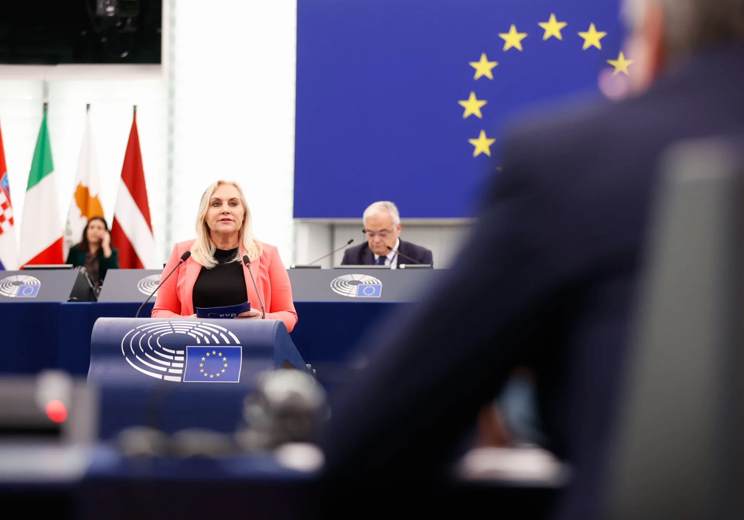 Weniger Bürokratie und weniger Haftung für Lieferanten: Angelika Winzig (vorige Woche im Europäischen Parlament) und Reinhold Lopatka begrüßen die erste Vorlage der Kommission für eine Korrektur der Gesetzgebung. Foto: EP