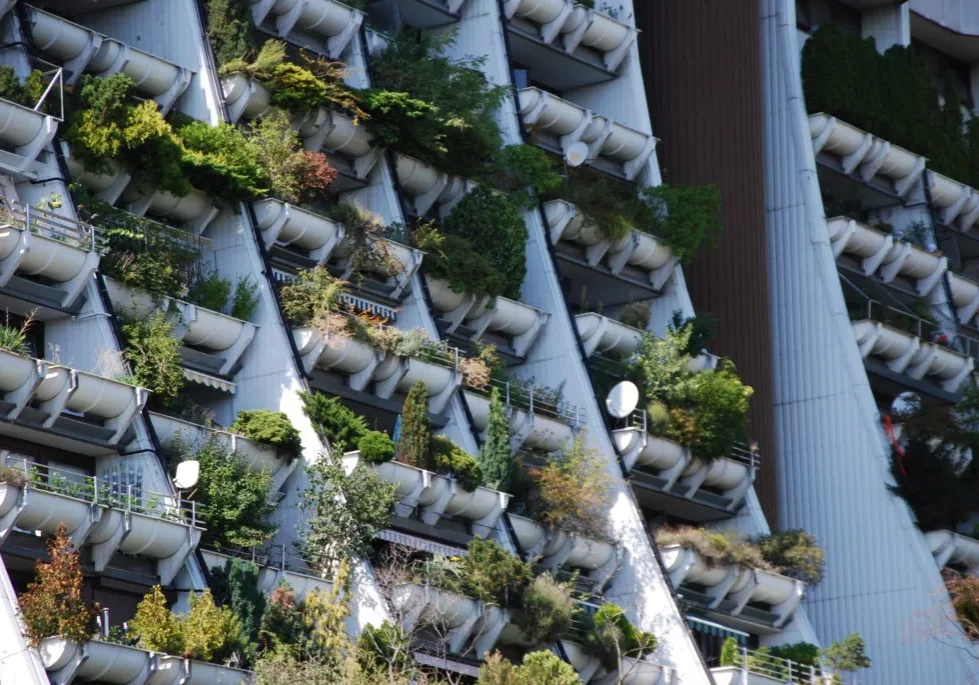 Der Klima- und Energiefonds sowie der Klima-Sozialfonds unterstützen Investitionen, um die Emissionen und ihre Folgen auch für Gebäudenutzer zu vermindern (im Bild: Begründung der Fassade in Alt Erlaa/Wien). Foto: Grünstattgrau-Wein-Tessbach