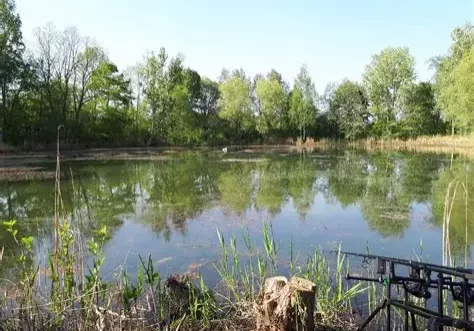 Der Tierschutzrat befasst sich auch mit Fischen und Fischgewässern. Wie dies erfolgt, wird jetzt parlamentarisch angefragt. Foto (Teich in Deutschland): alleangeln.de