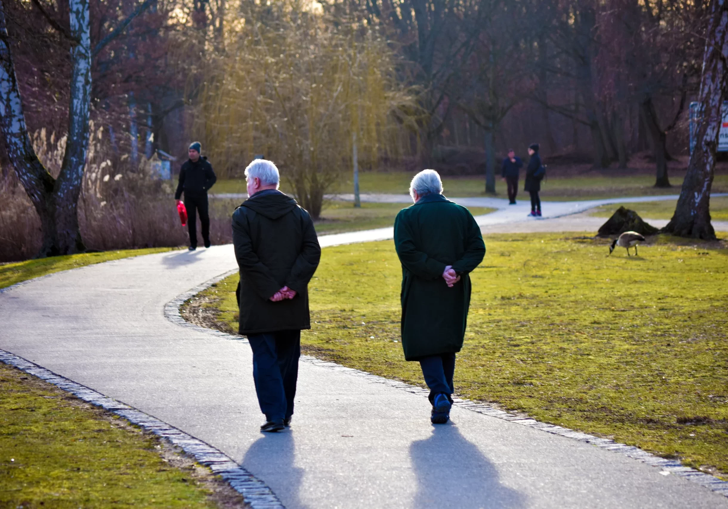 Die größte Reform der betrieblichen Altersvorsorge ermöglicht eine Zusatzrente für den Ruhestand. Foto: Pixabay / Manuel Alvarez