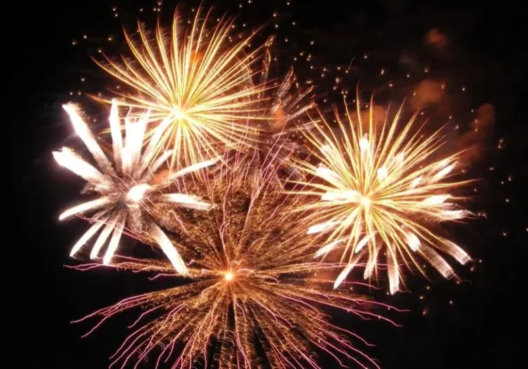 Sicherheit zum Jahreswechsel: Bereits Tage vor Silvester hat die Polizei in der Grenznähe zu Tschechien mehr als 20.000 Feuerwerkskörper beschlagnahmt. Zugleich ist sie wegen der allgemeinen Gefährdungslage verstärkt im Einsatz. Foto: Birgit Winter / pixelio