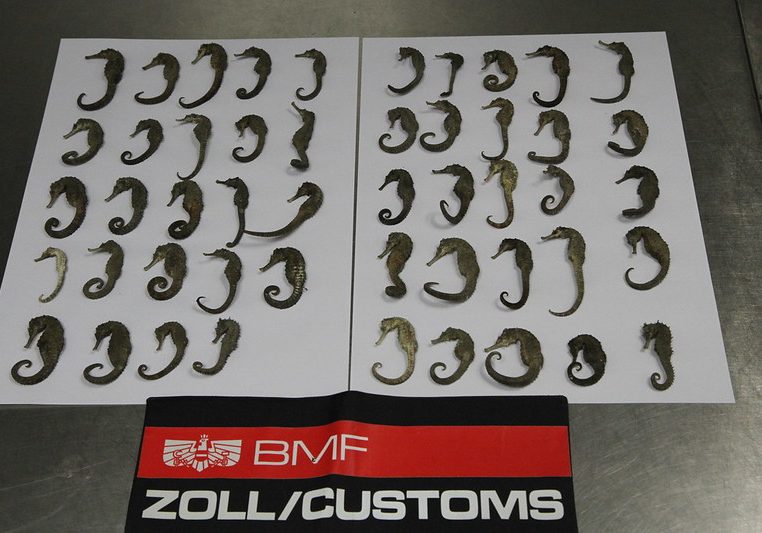 Das Zollamt Österreich legte seine Bilanz für das Jahr 2023 vor. Insgesamt konnten 8,1 Milliarden Euro an Abgaben eingehoben werden. Foto: BMF/Zoll