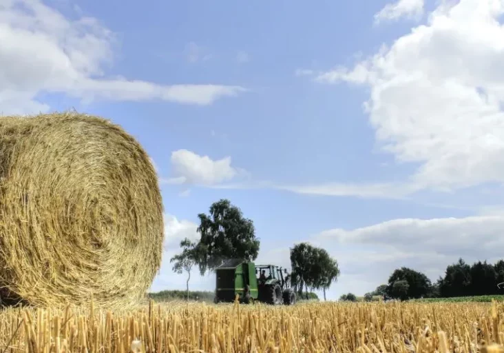 Feldarbeit erfordert Maschinen und diese benötigen Treibstoff, doch für beide steigen die Kosten. Daher erhalten die Land- und die Forstwirtschaft ein 300-Millionen-Euro Paket, um im Wettbewerb bestehen zu können. Foto: Uschi Dreiucker / pixelio