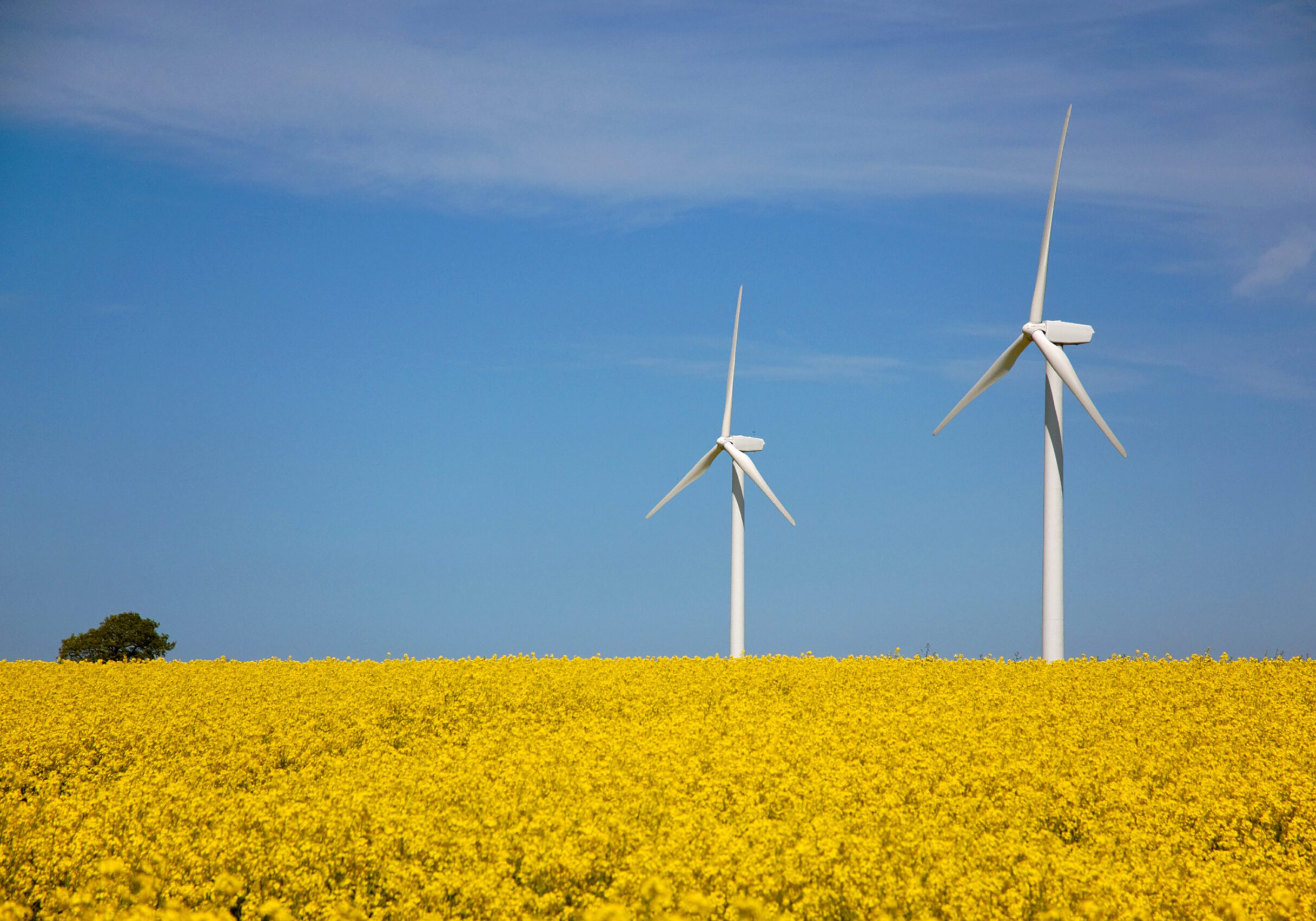 Österreich begibt Grüne Bundeswertpapiere, deren Erlöse in Investitionen etwa für erneuerbare Energien fließt. Der Grüne Kapitalmarkt floriert, Österreich erhält Nachhaltigkeitspreise. Foto: pixelio/Petra Bork