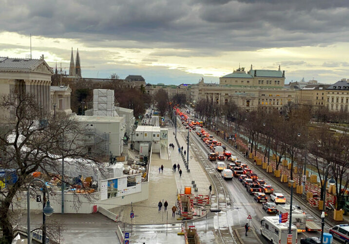 Der illegale Autokorso in Wien lahm. Foto: Michael Tögel