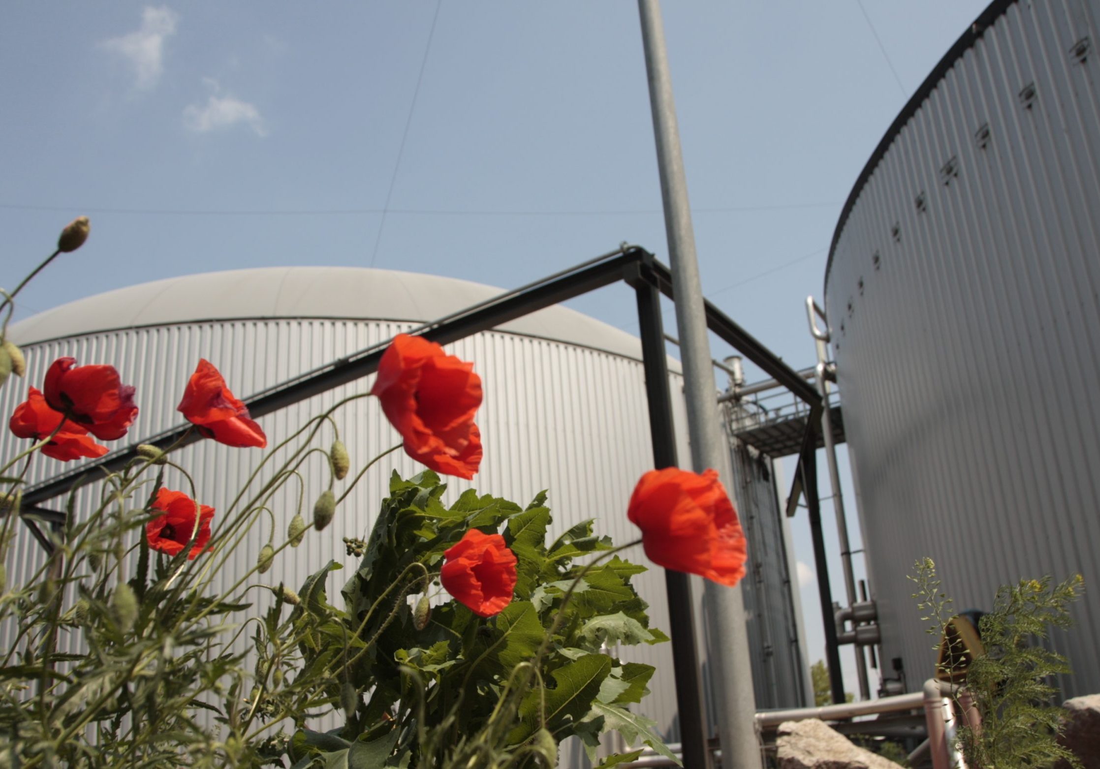 Grünes Gas für saubere Energie - das funktioniert. Ein neues Gesetz soll Haushalten und Unternehmen sichere Rahmenbedingungen geben und damit den Einsatz von Biogas beschleunigen. Die SPÖ hat im Parlament jedoch die angekündigte Zustimmung zurückgezogen, die erforderliche Zwei-Drittel-Mehrheit kommt nicht zustande. Foto: Energiepark/Biogasanlage Bruck/Leitha