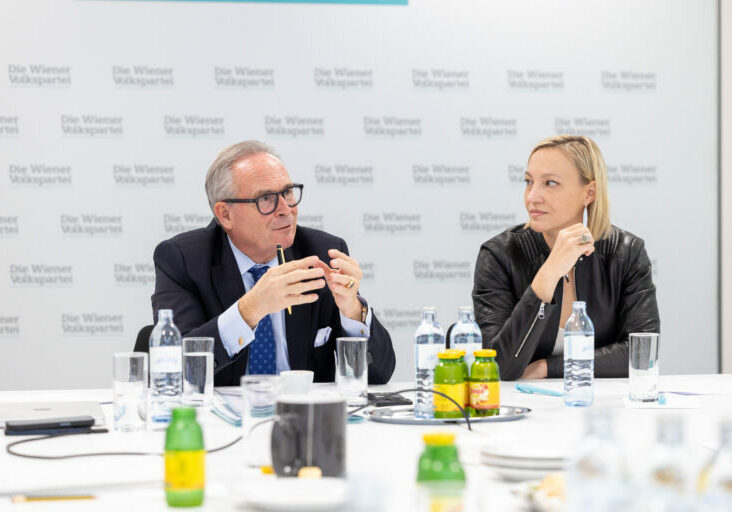In Wien werden hunderte Kursplätze für Deutsch angeboten, von privaten Bildungseinrichtungen wie von öffentlichen Stellen (Magistrat, Gesundheitsverbund), jene des ÖIF für die Teilnehmer unentgeltlich. Screenshot wien.start.gv.at