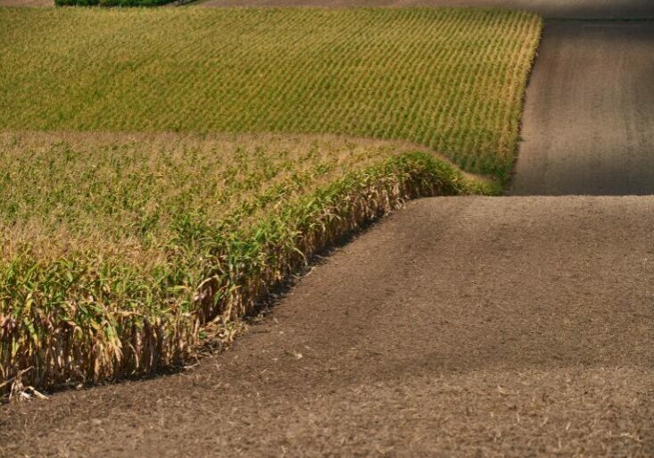 Der tägliche Bodenverbrauch geht zurück, für die Ernährung werden landwirtschaftliche Vorrangzonen geschaffen. Foto (Hohenruppersdorf): BMLRT / Alexander Haiden