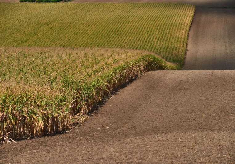 Der tägliche Bodenverbrauch geht zurück, für die Ernährung werden landwirtschaftliche Vorrangzonen geschaffen. Foto (Hohenruppersdorf): BMLRT / Alexander Haiden
