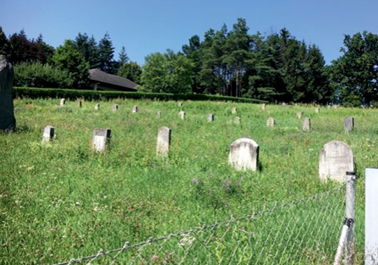 Der Fonds zur Instandsetzung der jüdischen Friedhöfe in Österreich ist Teil des Nationalfonds der Republik zur Entschädigung der NS-Opfer, der wieder arbeitsfähig ist. Bild: Jüdischer Friedhof Güssing, entnommen der Info-Broschüre des Fonds.