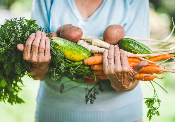 Bio-Landwirtschaft wird stark gefördert. Foto: istock/and-one