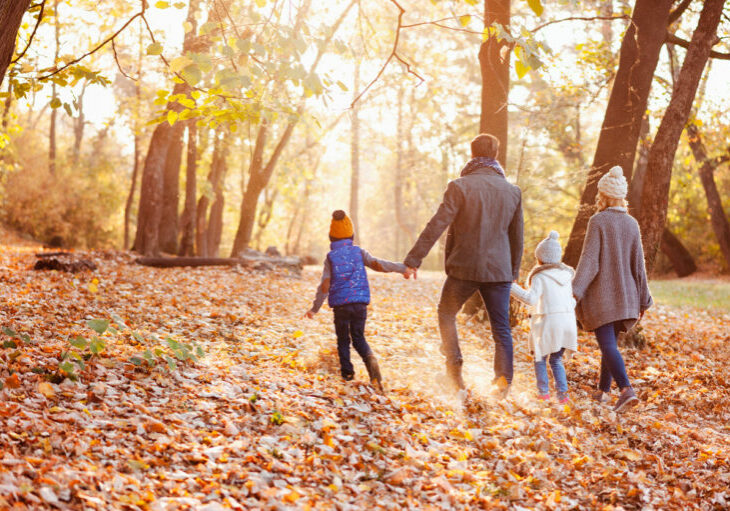 Die kalte Progression wurde abgeschafft, die Leistungen für Familien wurden angehoben und werden jährlich valorisiert: Die Entscheidungen der Bundesregierung bringen klare Vorteile für die Familien, sagt ÖVP-Klubobmann August Wöginger. Foto: iStock/ Zukovic