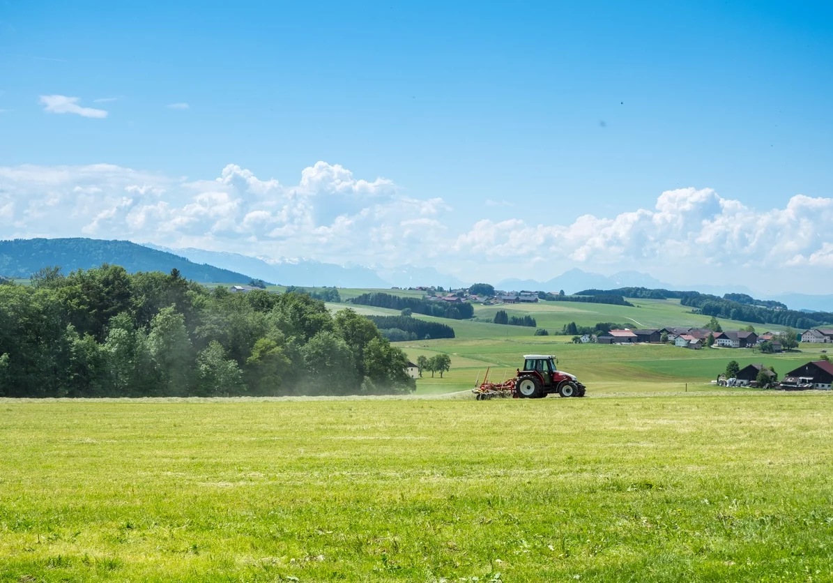 Österreich erreicht 2024 einen neuen Höchstwert bei Biodiversitäts- und Naturschutzflächen in der Landwirtschaft. Foto: istock/Animaflora