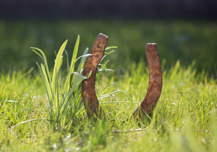 Foto: istock/ diephosi