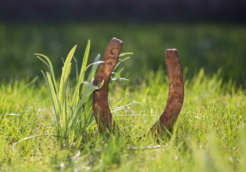 Foto: istock/ diephosi