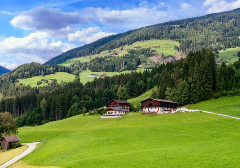 97 Prozent der Land- und Forstbetriebe in Österreich werden von Familien geführt. Der Rückgang an Betriebe verliert an Tempo, die Zahl der Beschäftigten nahm zu. Foto: istock / Fotomaxan Temb