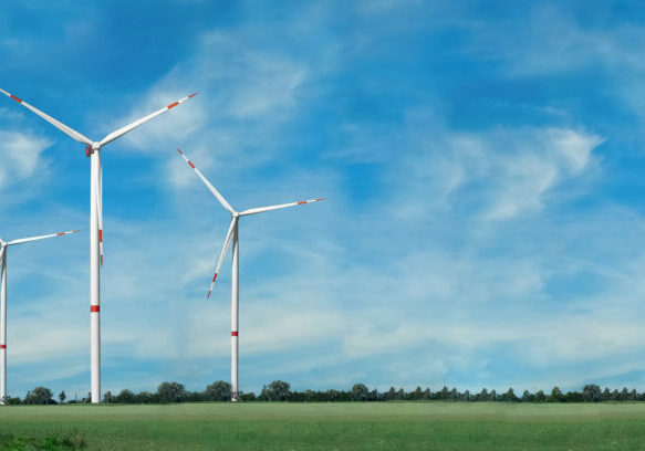Foto: iStock/Eplisterra
