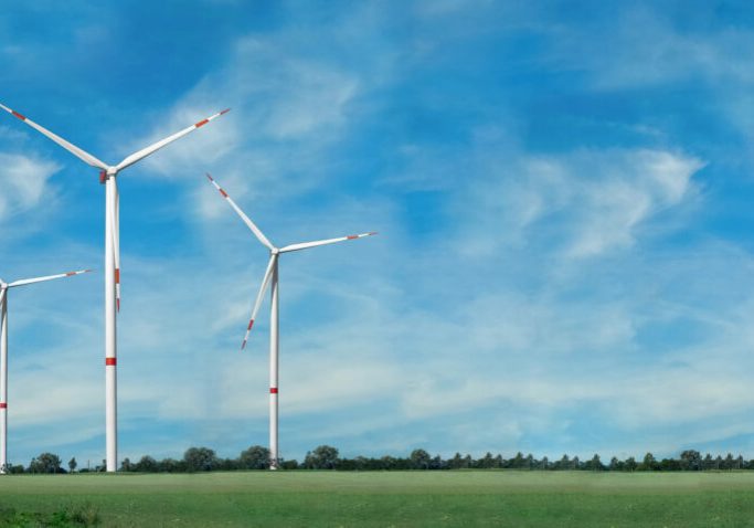 Foto: iStock/Eplisterra